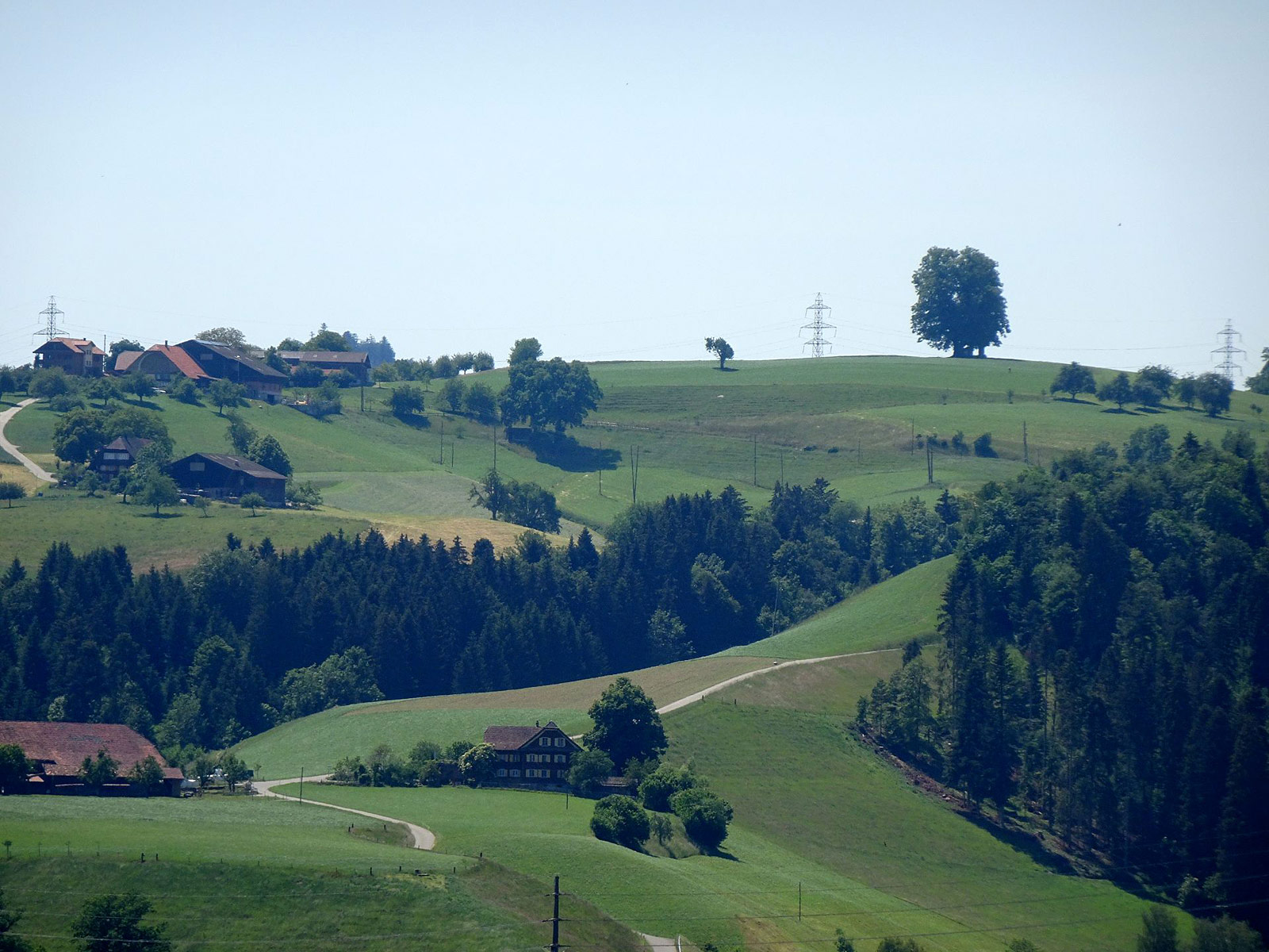 Willisau